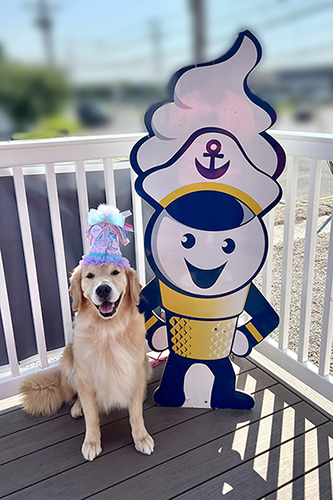 sea glass goldens skye birthday